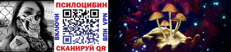 Псилоцибиновые грибы Psilocybine cubensis  хочу наркоту  Свободный 