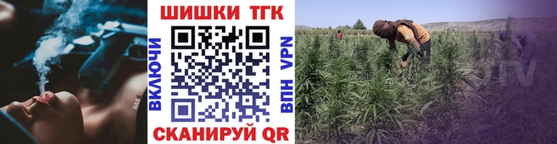 Бошки Шишки семена  МЕГА онион  Свободный  где продают  
